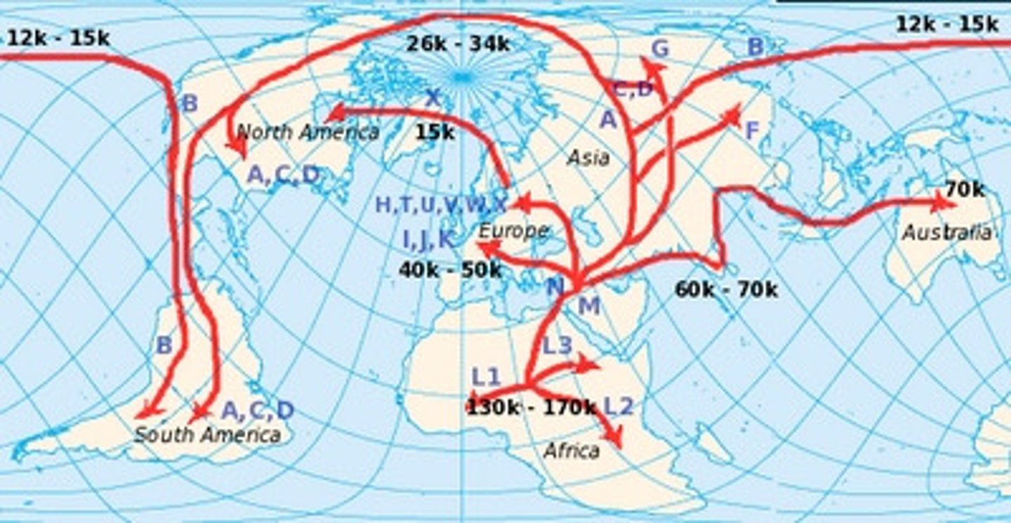 <p>The region from which innovative ideas originate</p>