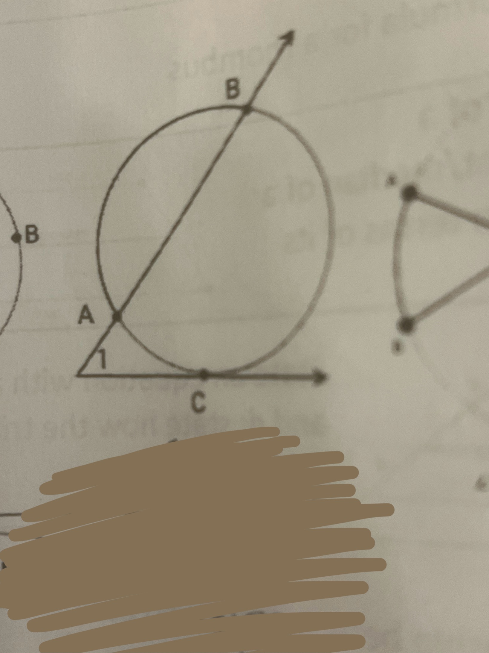 term image