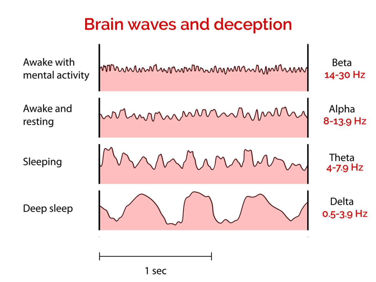 <p>alpha, theta, delta, beta</p>