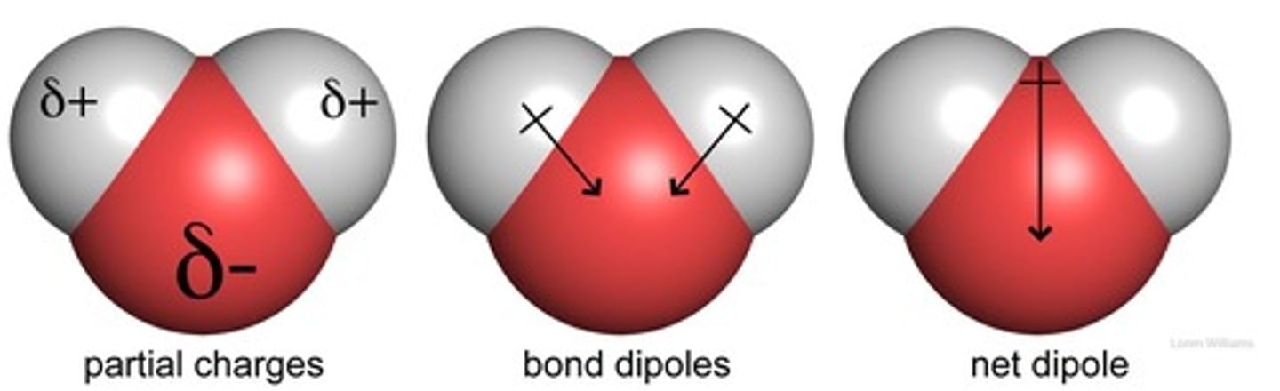 <p>Water is a polar solvent with a dipole moment.</p>