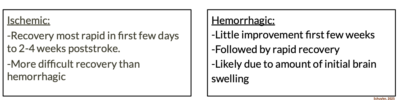 <p></p><p class="p2"><span data-name="black_circle" data-type="emoji">⚫</span><span> </span>Different rates of recovery</p><p class="p2"><span data-name="black_circle" data-type="emoji">⚫</span><span> </span>Recovery depends on:</p><p class="p2"><span>1.</span> Type of stroke</p><p class="p2"><span>2.</span> Severity (How much brain tissue destroyed)</p><p class="p2"><span>3.</span> Location of the destruction</p>