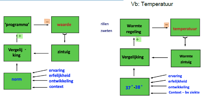 <p>○ Negatief terugkoppelingssysteem</p><p>&nbsp;■ Werkt als een thermostaat</p><p>&nbsp;■ De uitvoering van een gedrag verlaagt de motivatie hiervan</p><p>&nbsp; ● De terugkeer naar de norm is goed / prettig</p><p>&nbsp; ● Verwijderen van de norm ( of gelijkblijvend verschil) is onaangenaam</p><p>&nbsp; ● Norm is niet absoluut</p><p>○ Balans tussen de verwachtte en de actuele staat</p>