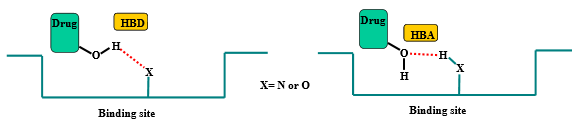 <p>Through oxygen atom:</p><ul><li><p>hydrogen bond donor</p></li><li><p>hydrogen bond acceptor</p></li></ul>