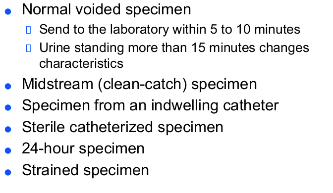 <p>send to lab within <strong>5-10 min</strong>. after 15 mins, characteristic change </p><p></p><p><strong>midstream (clean catch) specimen</strong>: to be sent for culture</p><ul><li><p>given sterile cup, wipes, be told how to hold. keep labia open after cleaning until obtained. clean right, left, middle.</p></li></ul><p></p><p>strained specimen: if renal calucli</p>