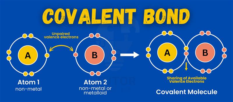 <p>Is the relative of attraction that an atom of a molecule has for the shared pair or pairs of electrons in a covalent bonds</p>