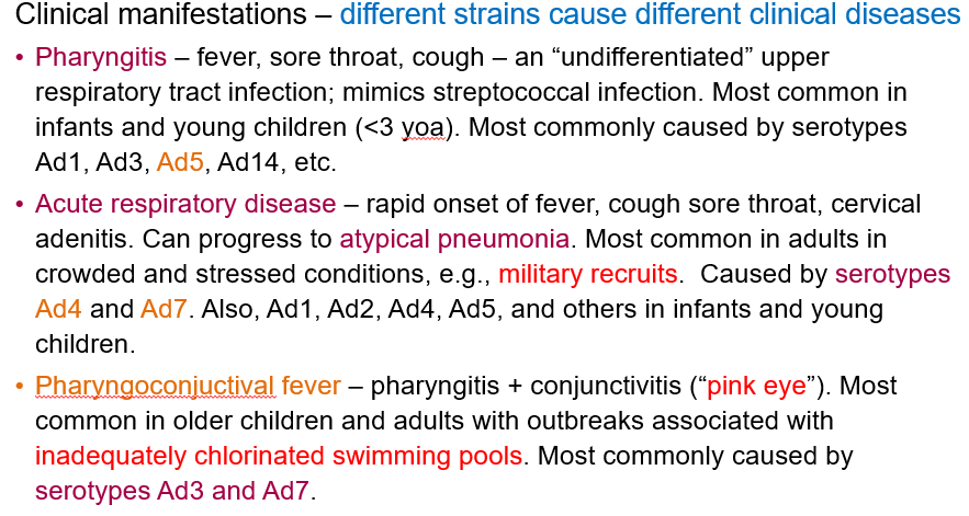 <p><strong>Pharyngitis </strong>– causing fever, sore throat, and cough, often mimicking strep throat. </p><p>Commonly caused by <strong>serotype Ad5</strong></p>