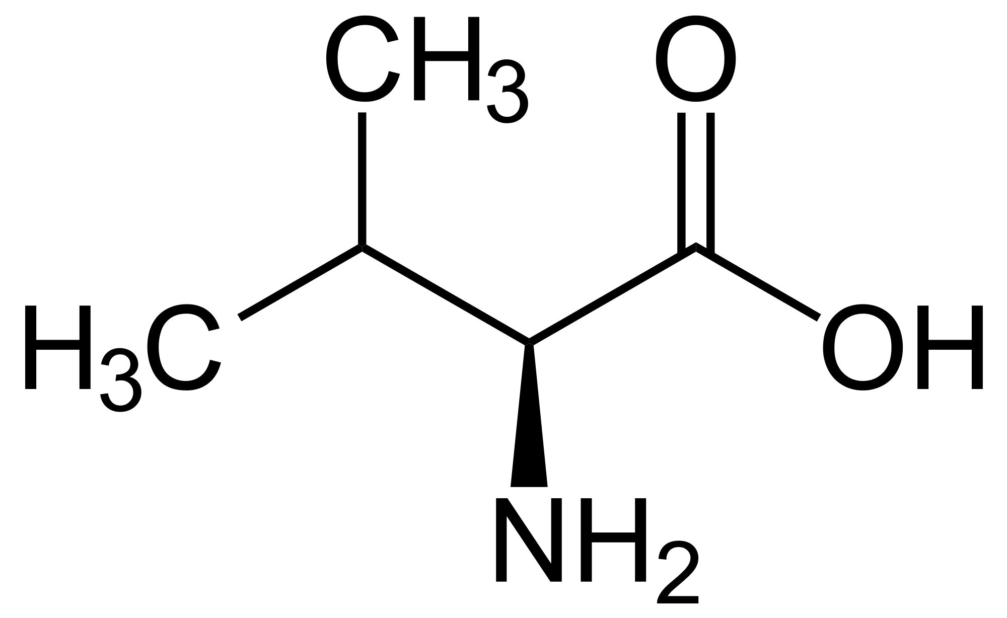 <p>Branched amino acid with a tertiary carbon atom in the side chain, non-polar (aliphatic).</p>