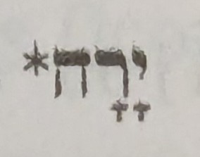 term image