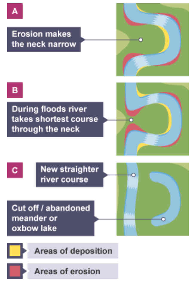 <p>As the meander becomes more curved, erosion narrows its neck, and the meanders move closer together. When there is a very high discharge (eg. flood), the river cuts around the neck, taking a new, straighter and shorter route. Deposition will occur to cut off the original meander, leaving a horseshoe-shaped oxbow lake.</p>