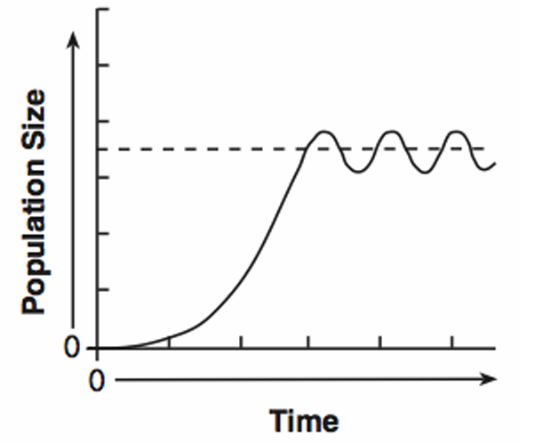 <p>Carrying Capacity</p>