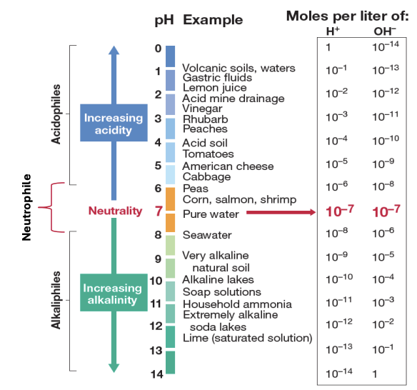 <p>acidity or alkalinity</p>