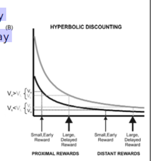 <p><span style="background-color: transparent;"><strong><span>Kashi and Schultz (2008)</span></strong></span></p><p><span style="background-color: transparent;"><span>researchers presented monkey with </span></span></p><p><span style="background-color: transparent;"><span>SS: 0.28ml 1 sec delay</span></span></p><p><span style="background-color: transparent;"><span>LL: 0.56ml 5 sec delay</span></span></p><p><span style="background-color: transparent;"><span> what was monkey preference?</span></span></p><p><span style="background-color: transparent;"><span>what about when they added 5sec to both?</span></span></p><p><span style="background-color: transparent;"><span>what about adding 1 sec to the shortes delay?</span></span></p>