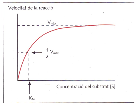 <p>Quina reació representa</p>