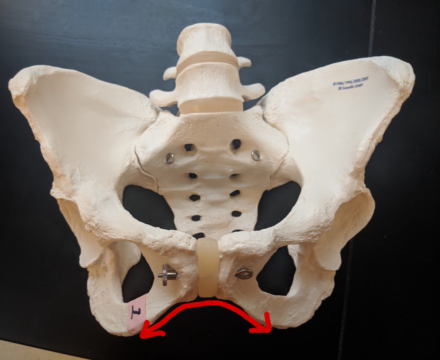<p>Name this structure</p>