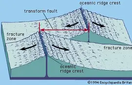 <ul><li><p><strong>What a transform fault is:</strong> the active part of the break that connects two ridge segments where plates slide past each other; along the transform fault the two sides move in opposite directions so it’s a plate boundary and can produce earthquakes.</p></li><li><p><strong>What a fracture zone is:</strong> the extended, often inactive lineation beyond the transform fault; it’s a scar in the oceanic crust that marks the offset in the ridge but beyond the ridge the two sides move in the same direction so there is no ongoing slip or earthquakes there</p></li></ul><p></p>
