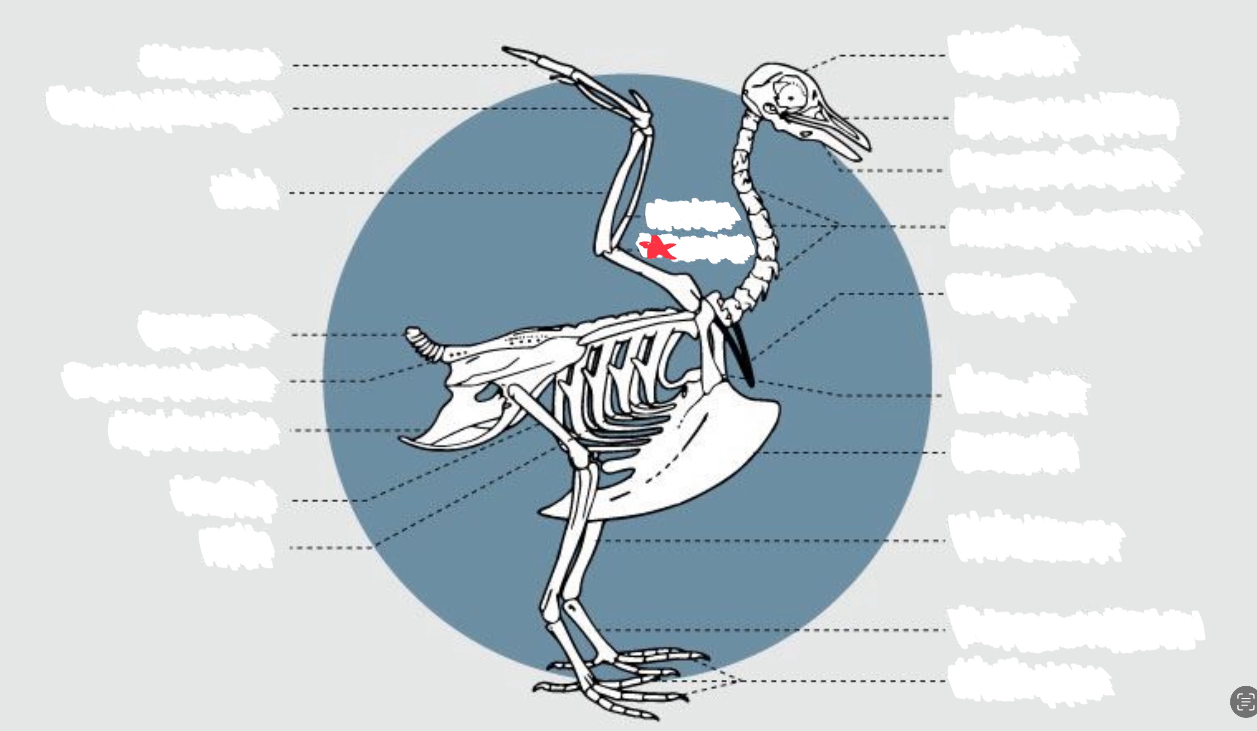 knowt flashcard image