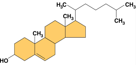 <p>Steroids</p>