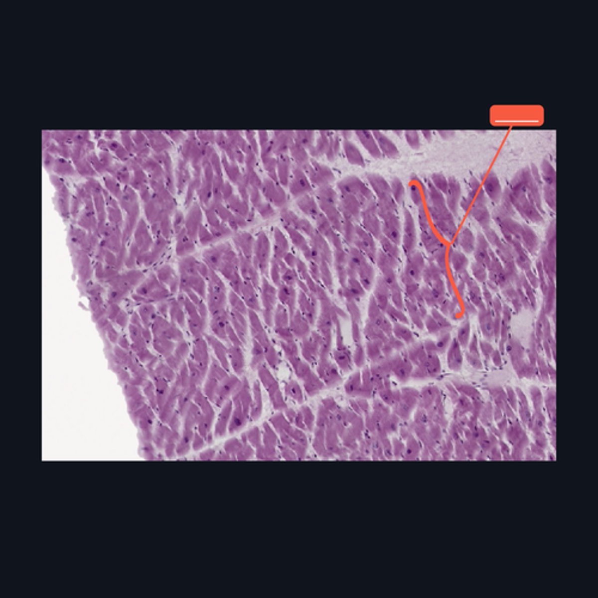 <p>Identify the structure</p>