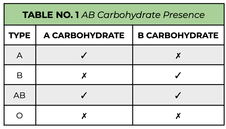 **Blood groups**

* Recipient can recognize _______ on blood cell surface as foreign, so ABO groups must be taken into account
* People are frequently exposed to ____ that have epitopes similar to carbohydrates on blood cells
  * E.g. A person with type A blood will make antibodies against a bacterial epitope similar to a B carbohydrate, and:
    * These antibodies react to B carbohydrates upon transfusion
  * That person does not make antibodies against the bacterial epitope similar to the A carbohydrate because:
    * Lymphocytes do not react with body’s ___ cells


* Type __ people cannot receive any other blood type because they have antibodies against A and B carbohydrates, but can donate to any other blood type