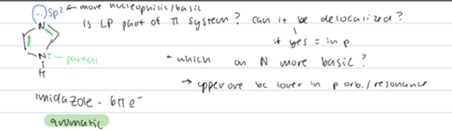 <p>- 6 π electrons = aromatic</p><p>- LP that can be delocalized in part of π system</p><p>- LP not in π system (sp² hybridized) is more basic</p>