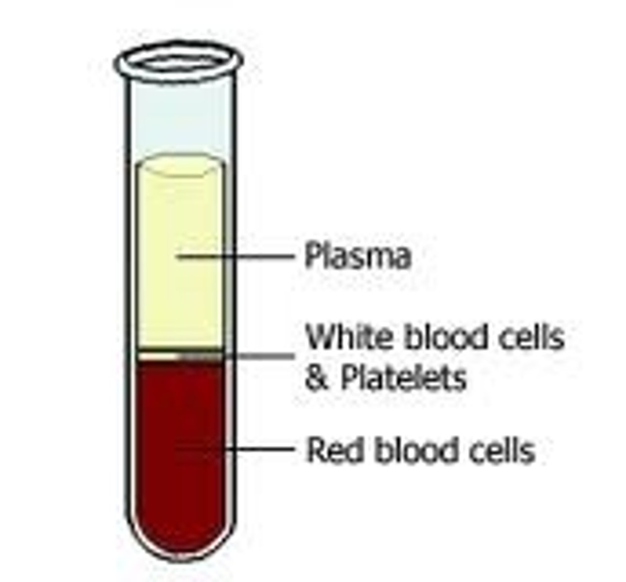 <p>Plasma</p><p>Red blood cells</p><p>White blood cells</p><p>Platelets</p>