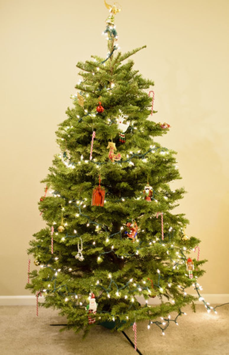 <p>Christian holiday celebrating the birth of Christ</p>
