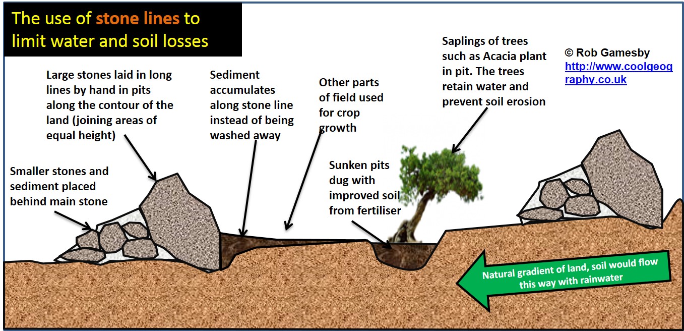 <ul><li><p>Simple stone lines (bunds) are placed along contours of slopes. Stones are collected from local area.</p></li><li><p>Prevent movement of water down slope, encouraging infiltration + improving soil moisture so crops can be grown again </p></li><li><p>Simple, cheap technique has improved crop yields by 50%</p></li><li><p>To ensure optimum results, only requires a simple tool, costing $6, helping farmers to align stones properly along contours of the land. Correct use of this tool can be mastered in a day despite low levels of education and literacy in the area.</p></li><li><p>Use of magic stones (+ other strategies) has helped rehabilitate over 200k hectares of unproductive land, with around 500k people benefitting from subsequent increase in food production.</p></li></ul>