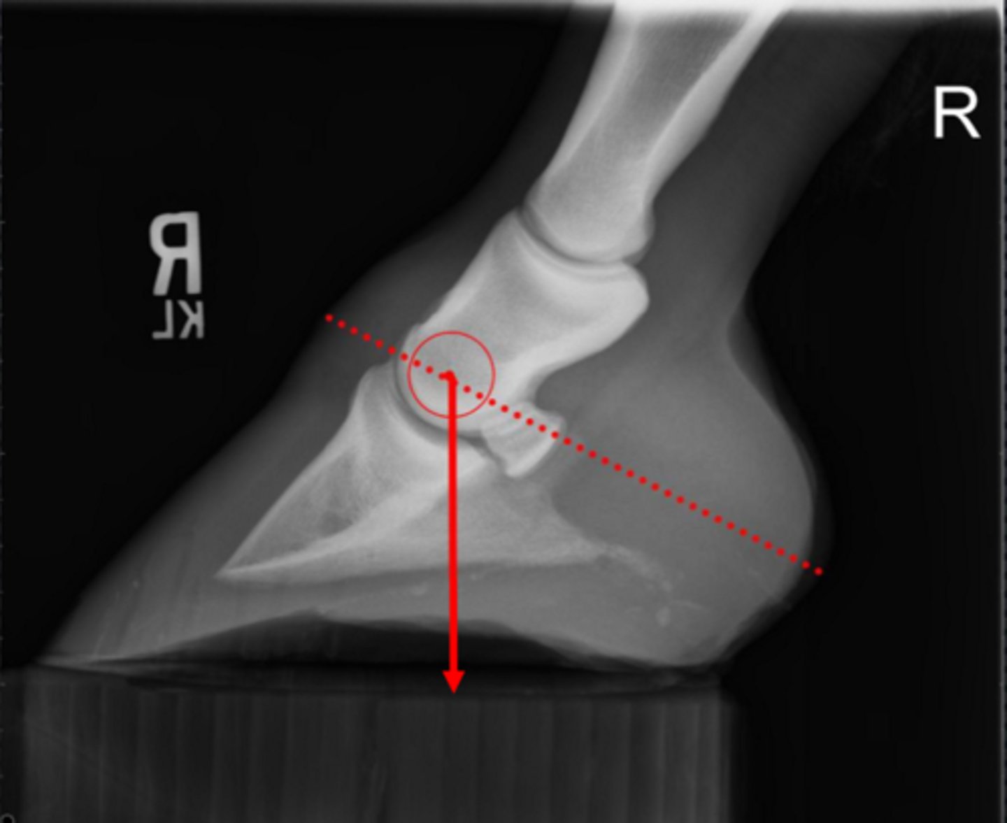 <p>What measurement is this?</p>