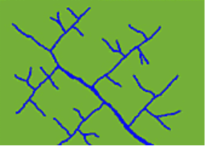 <p>What drainage pattern is this?</p>