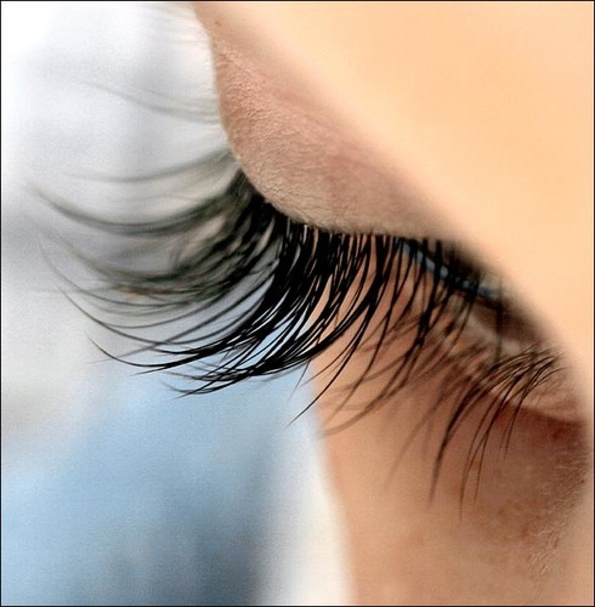 <p>the eyelashes</p>