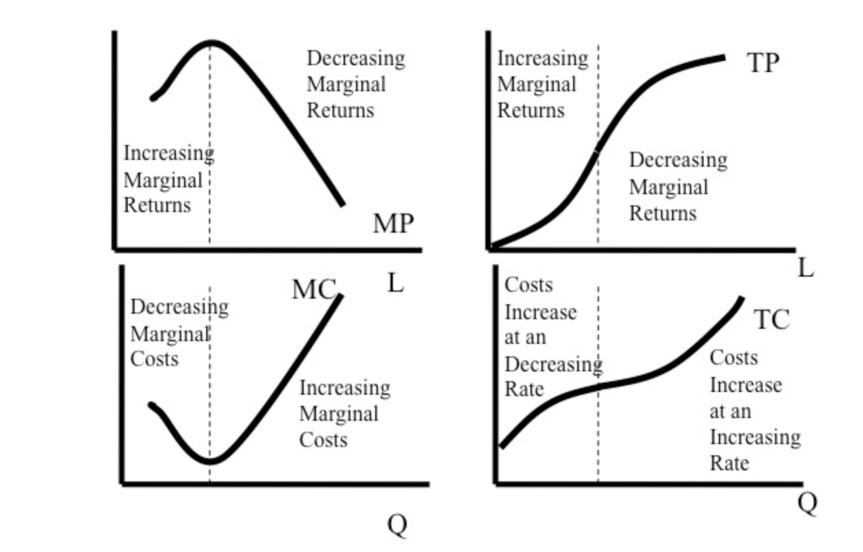 MP and TP and MC and TC curves 