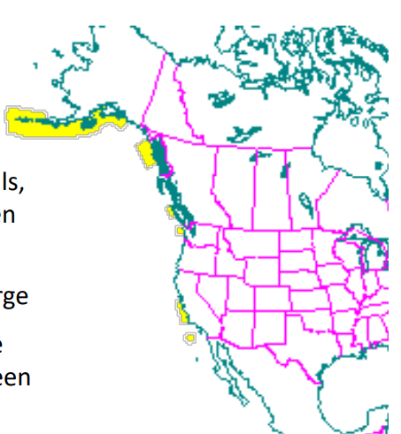 <p>Which species fits the following habitat and management concerns?</p><p><br>Habitat: Marine mammal in near shore, kelp forests of the pacific coast from Alaska to CA; typically over rocky or soft sediment ocean bottoms less than 1km from shore</p><p>Management issues: Major furbearers from mid 1700s to 1911, pelts as much as $1,125 each; competition w/ commercial fisheries for shellfish and crab; southern subspecies not rebounded well; In Ca, exposure to pathogens -<em> Toxoplasma gondii</em> - spread by domestic cats and opossums implicated in pop. declines, as well as shipping, energy development, and Naval activity</p>