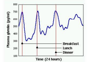 <p>Rise during fasting, drops after eating</p>