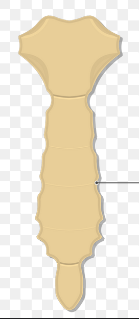 <p>What is the line pointing to?</p>