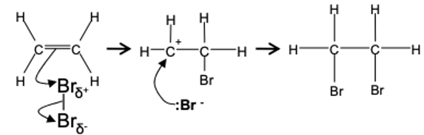 <p>Reagent: Bromine</p><p>Conditions: Room temperature (not in UV light)</p><p>Mechanism: Electrophilic addition</p><p>Type of reagent: Electrophile, Br+</p>