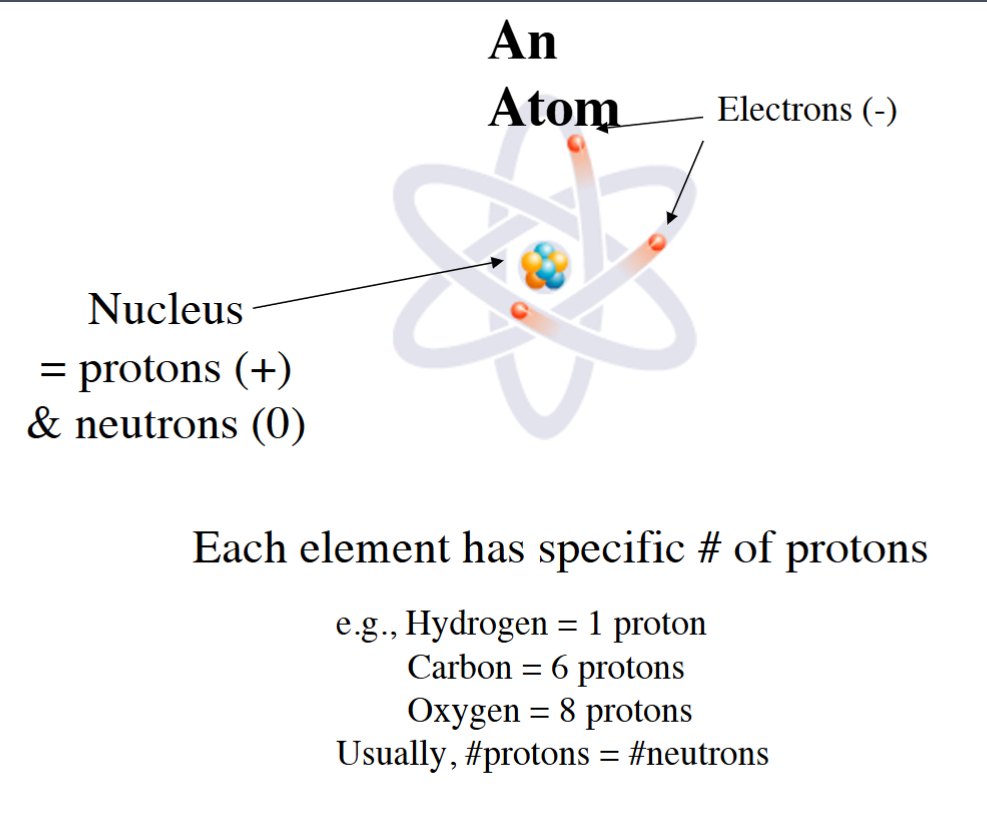<p>Each element has a specific number of protons.</p>