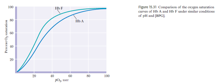 <p><strong>A:</strong> Fetal Hb (α₂γ₂) has Ser instead of His at position 143 → weaker BPG binding → higher O₂ affinity. Allows fetus to extract oxygen from maternal blood.</p><p></p>