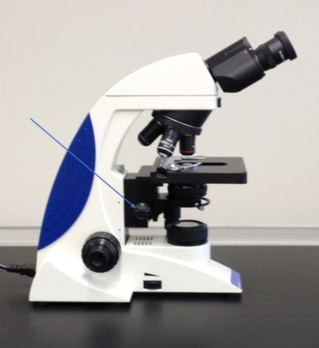 Identify the part of the microscope
