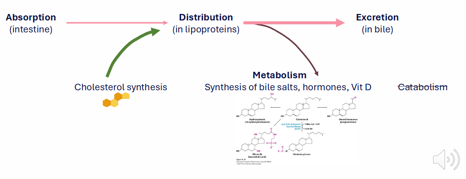 <p>DIAGRAM ON SLIDE 10</p>