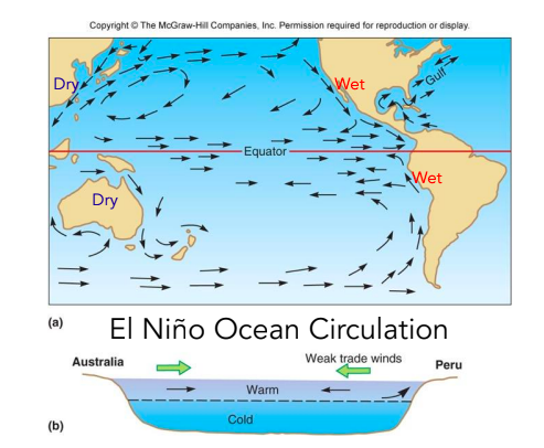 Fewer Atlantic Hurricanes, El nino present cool sea surface, drier summer. Correlation with increased wildfire activity in Australia.
