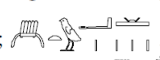 term image