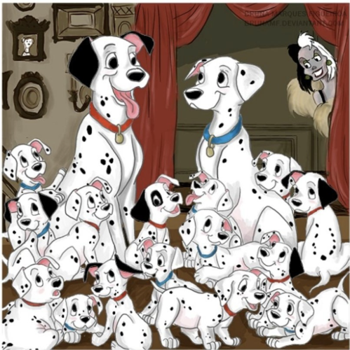 1. Meiosis is important to sexual reproduction.
2. It forms the correct haploid number of chromosomes.
3. This maintains the correct diploid number of chromosomes in organisms when sex cells join.
4. Leads to genetic variation