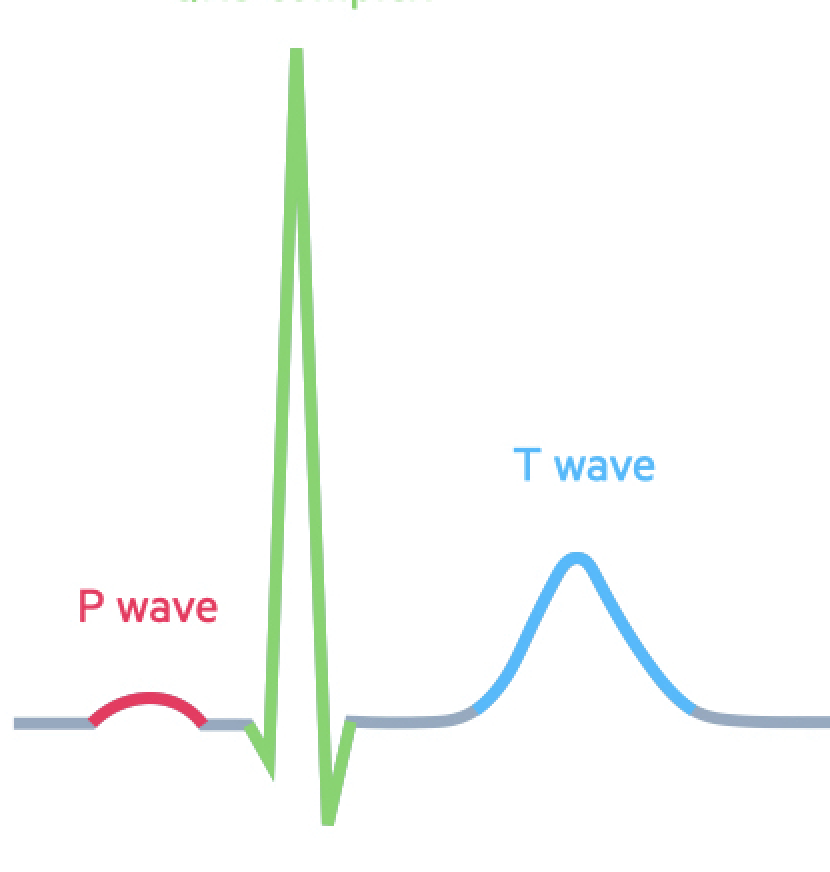 <p>What is the green segment</p>