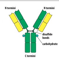 <p>Green? Yellow?</p>