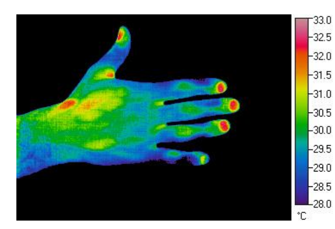 <ul><li><p>Temperature measurement at a distance</p></li><li><p>Colour-scale coded temperature map</p></li></ul><p></p>