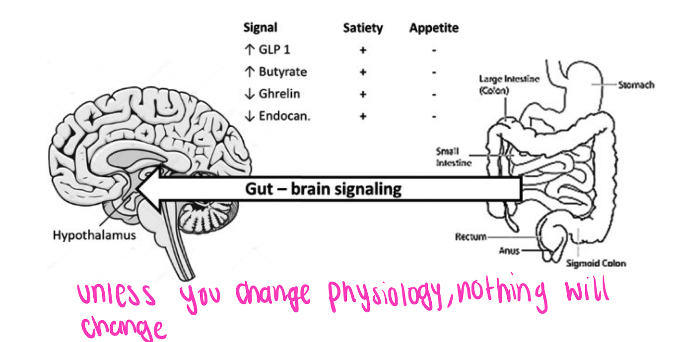 * unless you change physiology, nothing will change 