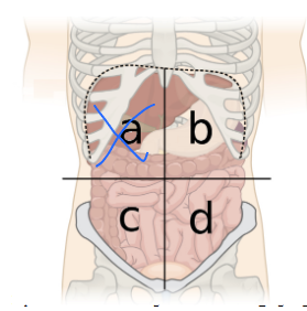 <p>What is this quadrant?</p>