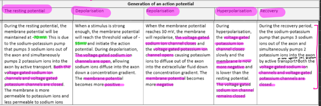 knowt flashcard image