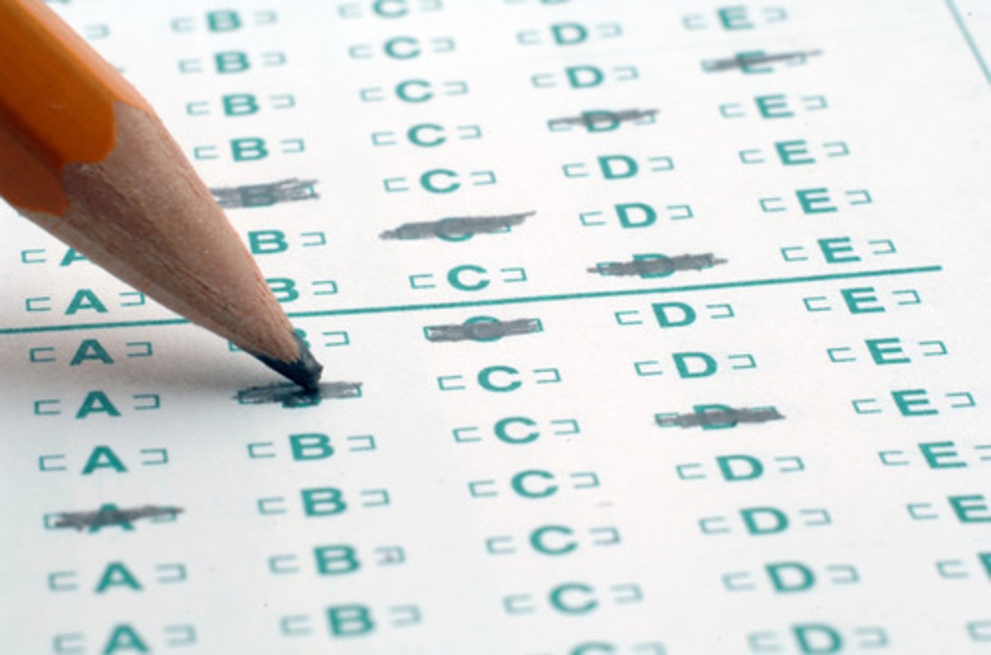 <p>Nosotros __ un "A" en el examen.</p><p>We got an A on the test.</p>