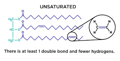 <ul><li><p>One or more double bonds</p></li><li><p>One fewer hydrogen atom on each double-bonded carbon</p></li><li><p>Liquids at room temp</p></li><li><p>Called oils</p></li><li><p>Can be mono or polyunsaturated</p></li><li><p>One double bond is most common</p></li><li><p>2 or more double bonds are more rare</p></li><li><p>Typically found in seeds &amp; provides energy to growing plants</p><ul><li><p>Ex. olive oil, sunflower oil</p></li></ul></li><li><p>The kind where the cis double bonds are located prevent the molecules from packing together closely enough to solidify at room temp.</p></li></ul><p></p>